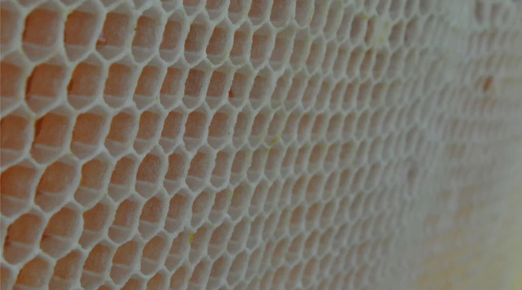 Bohman Bee Company