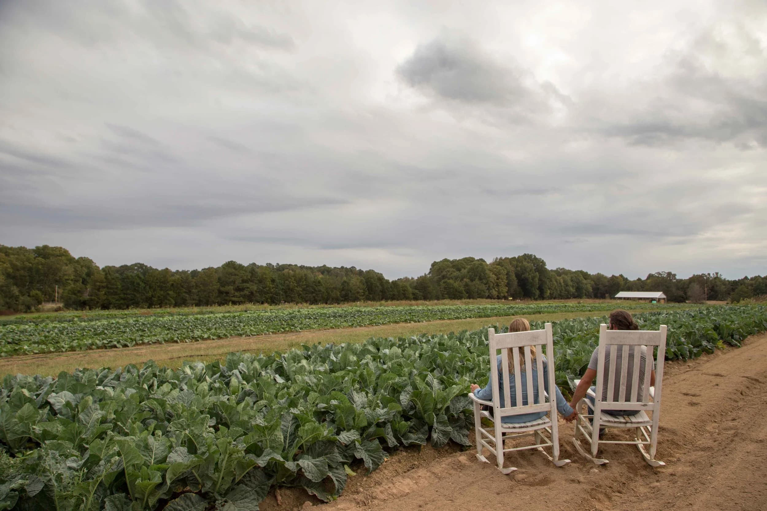 Boy and Girl Farm photo 2