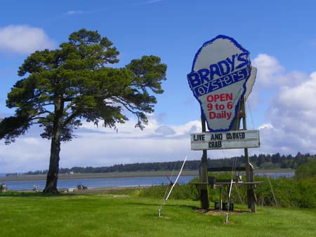 Brady's Oysters