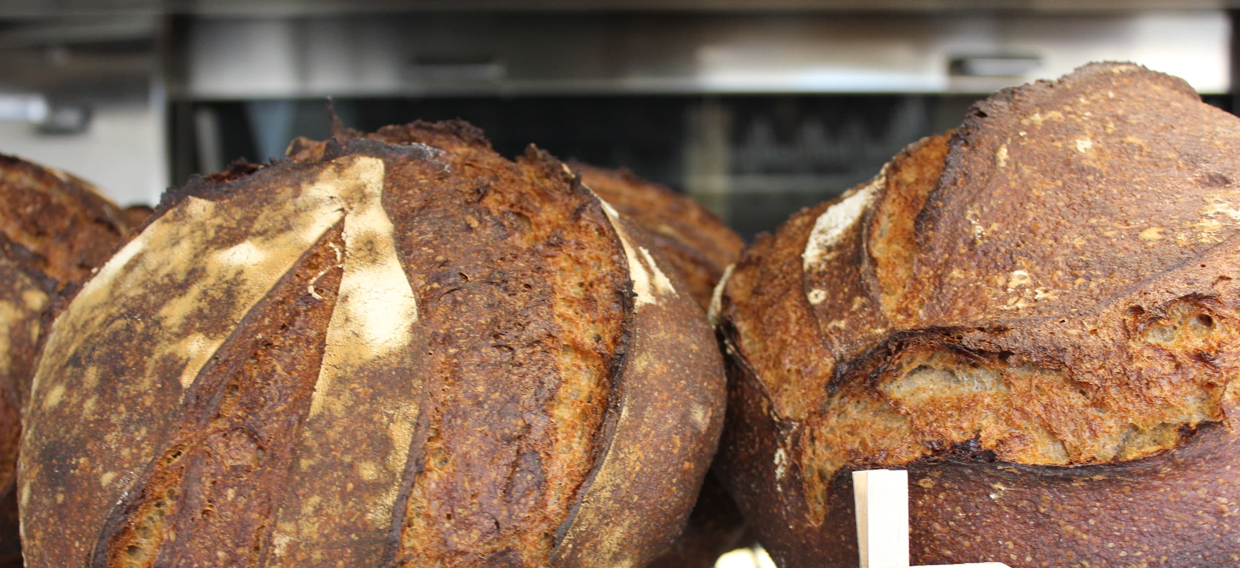 Bread by Johnny