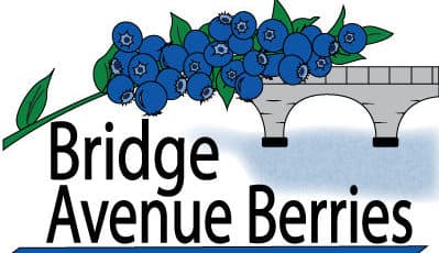 Bridge Avenue Berries