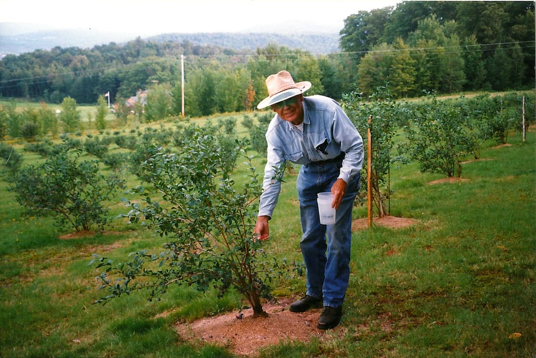 Brown's Beautiful Blueberries