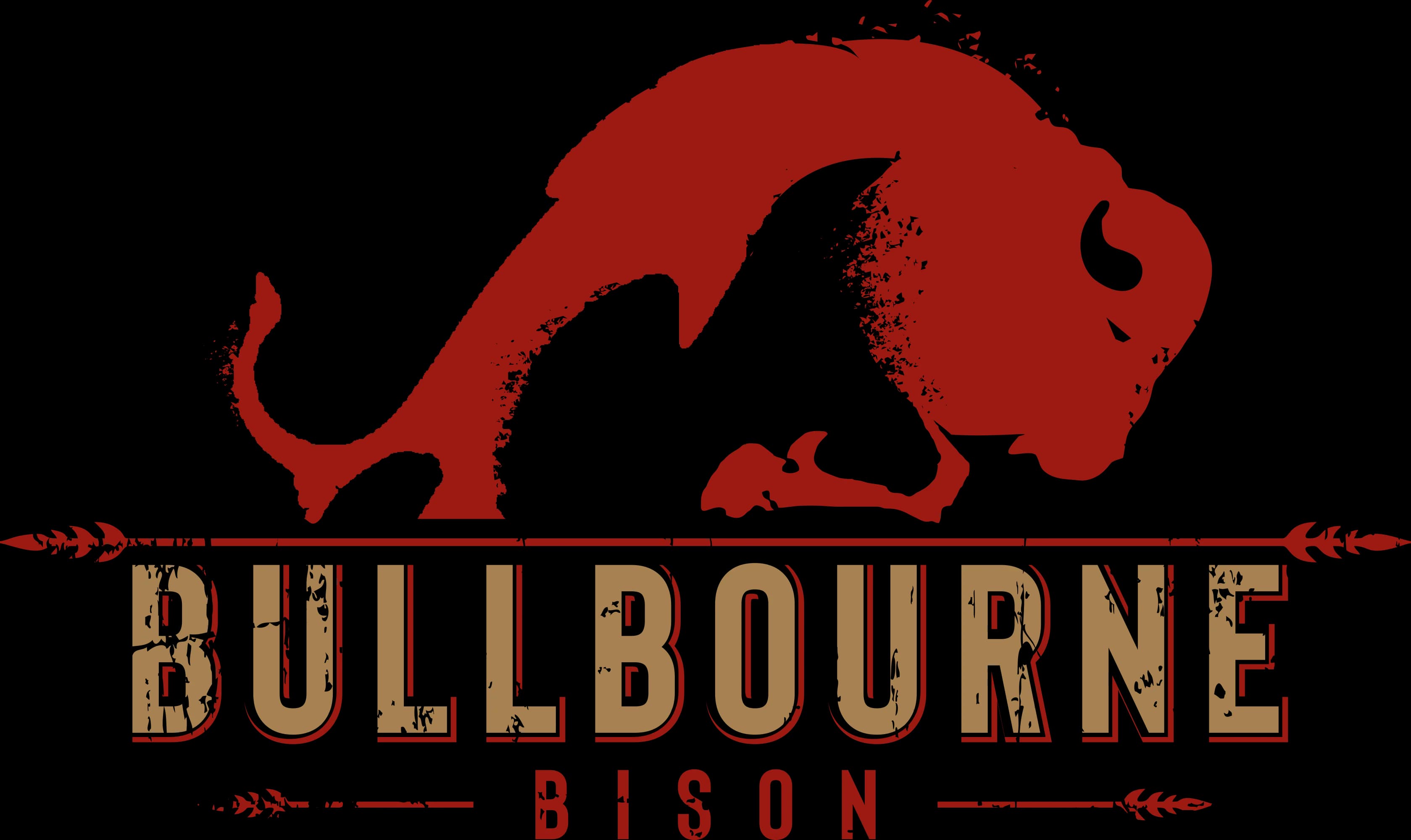 Bullbourne Bison