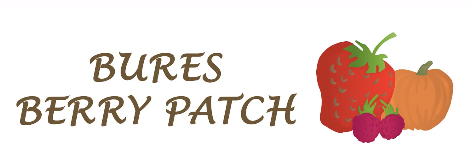 Bures Berry Patch photo 2