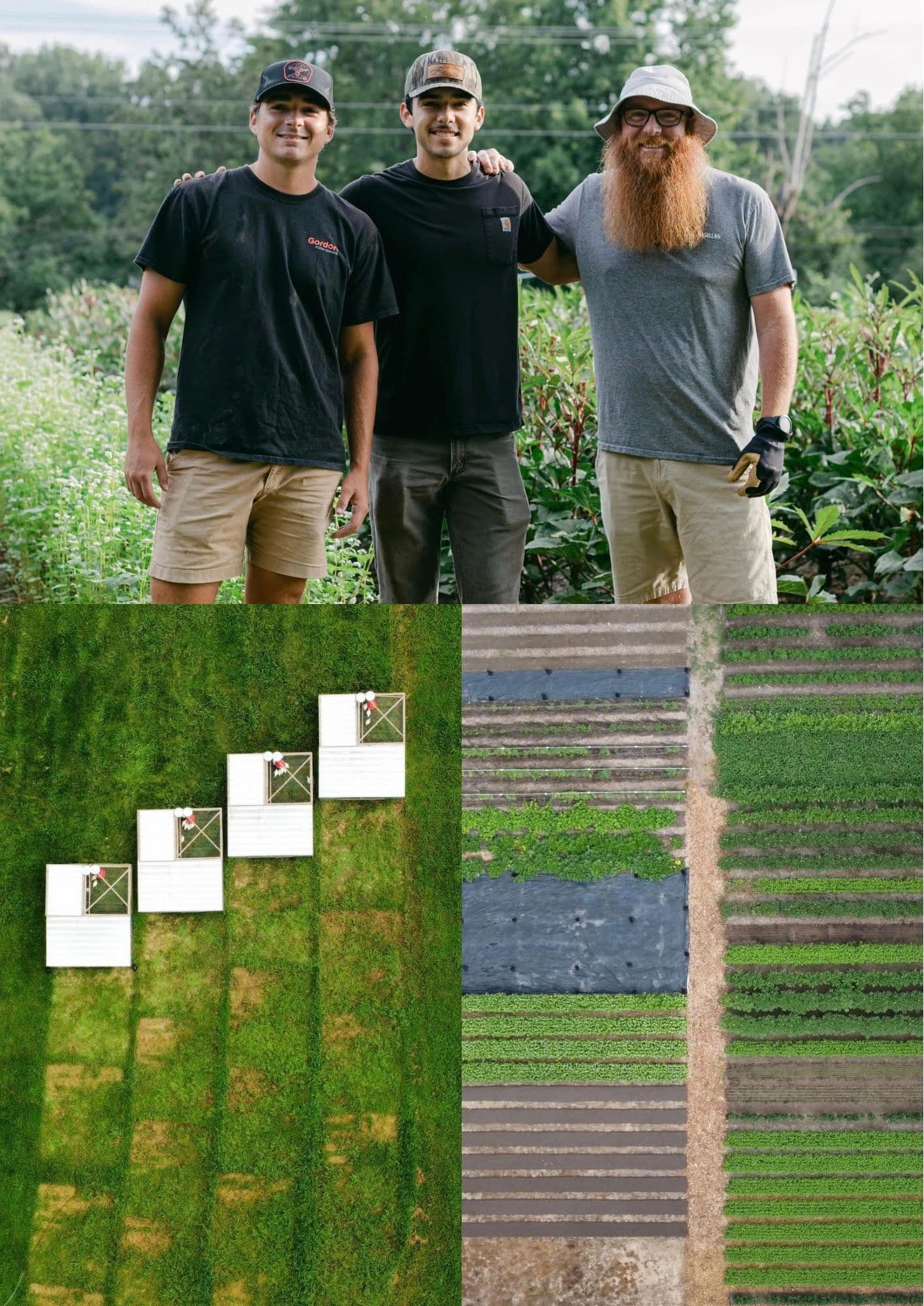 Cable Family Farm photo 2