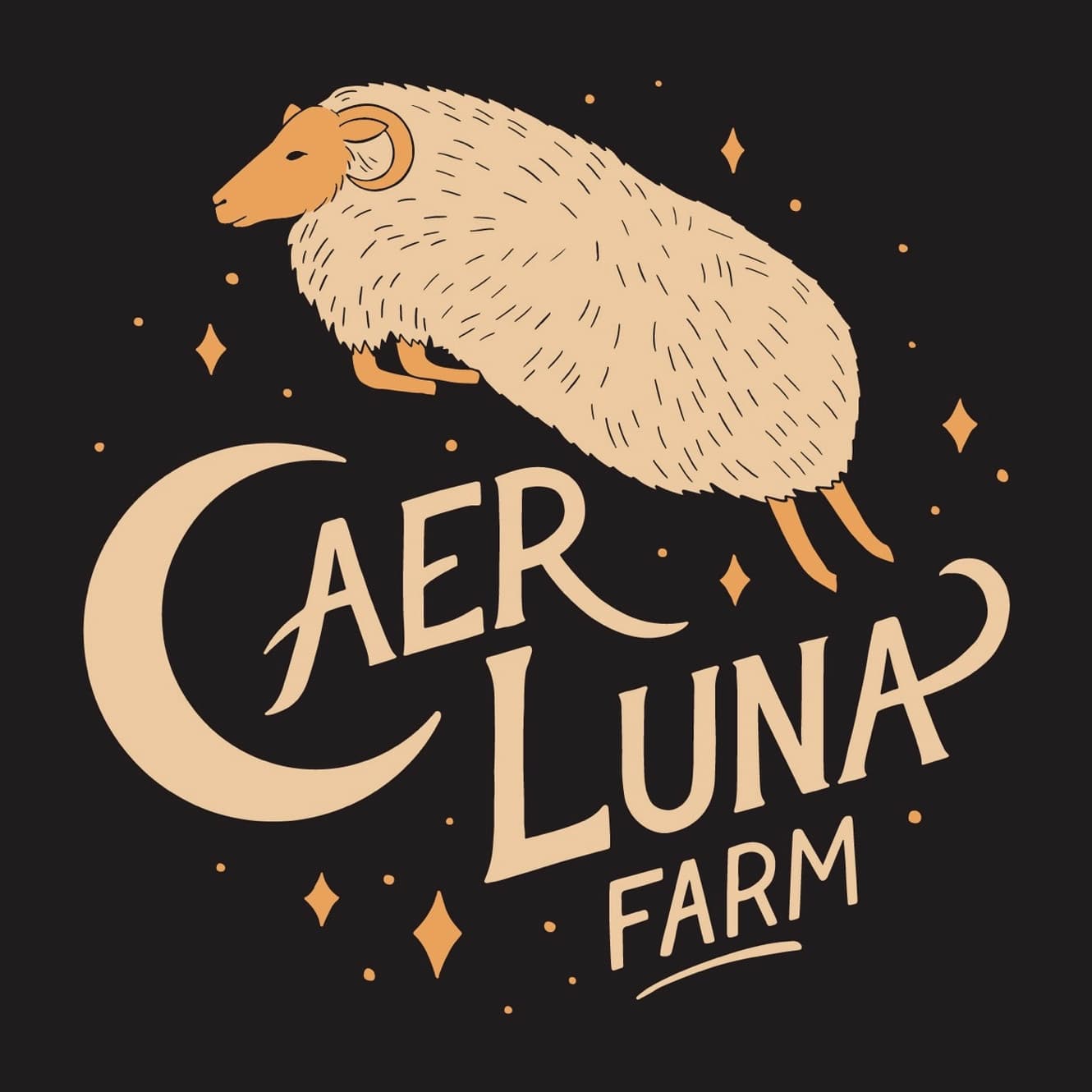 Caer Luna Farm photo 2