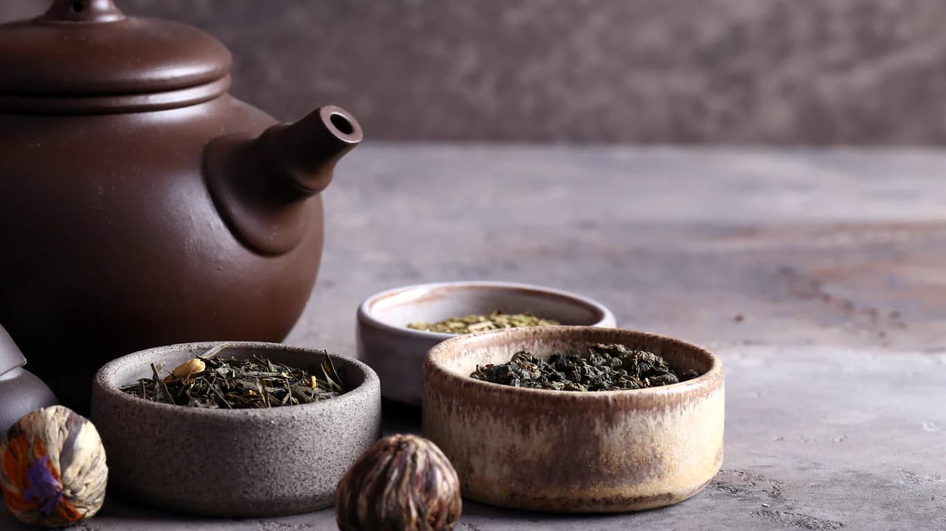 Camellia's NovelTEA