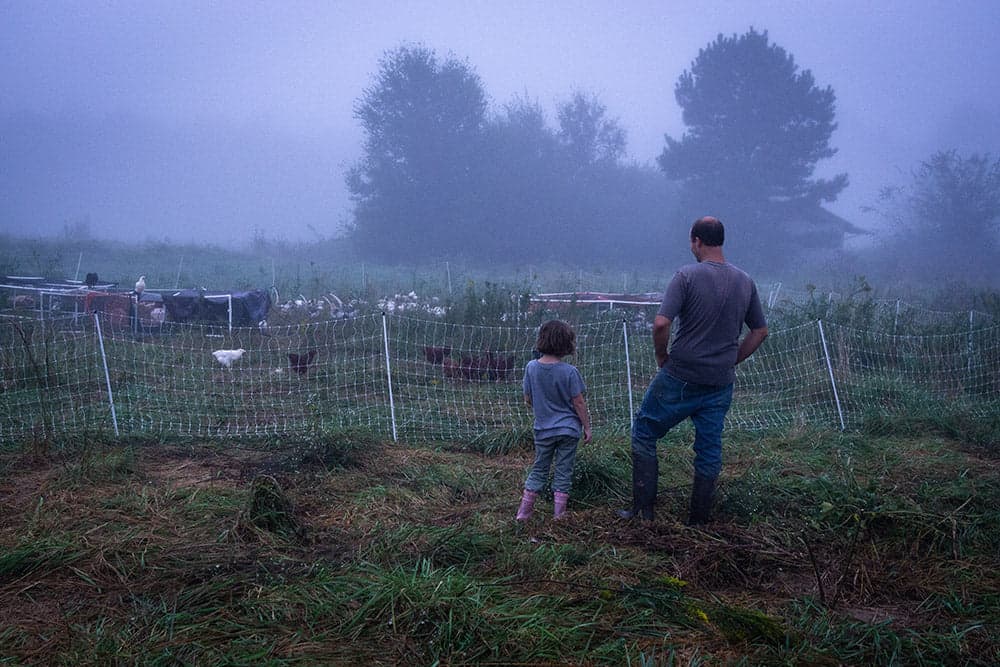 Carolina Pastures photo 2