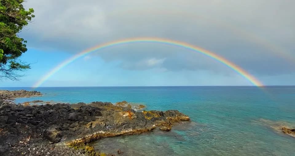 CBD HAWAII photo 2