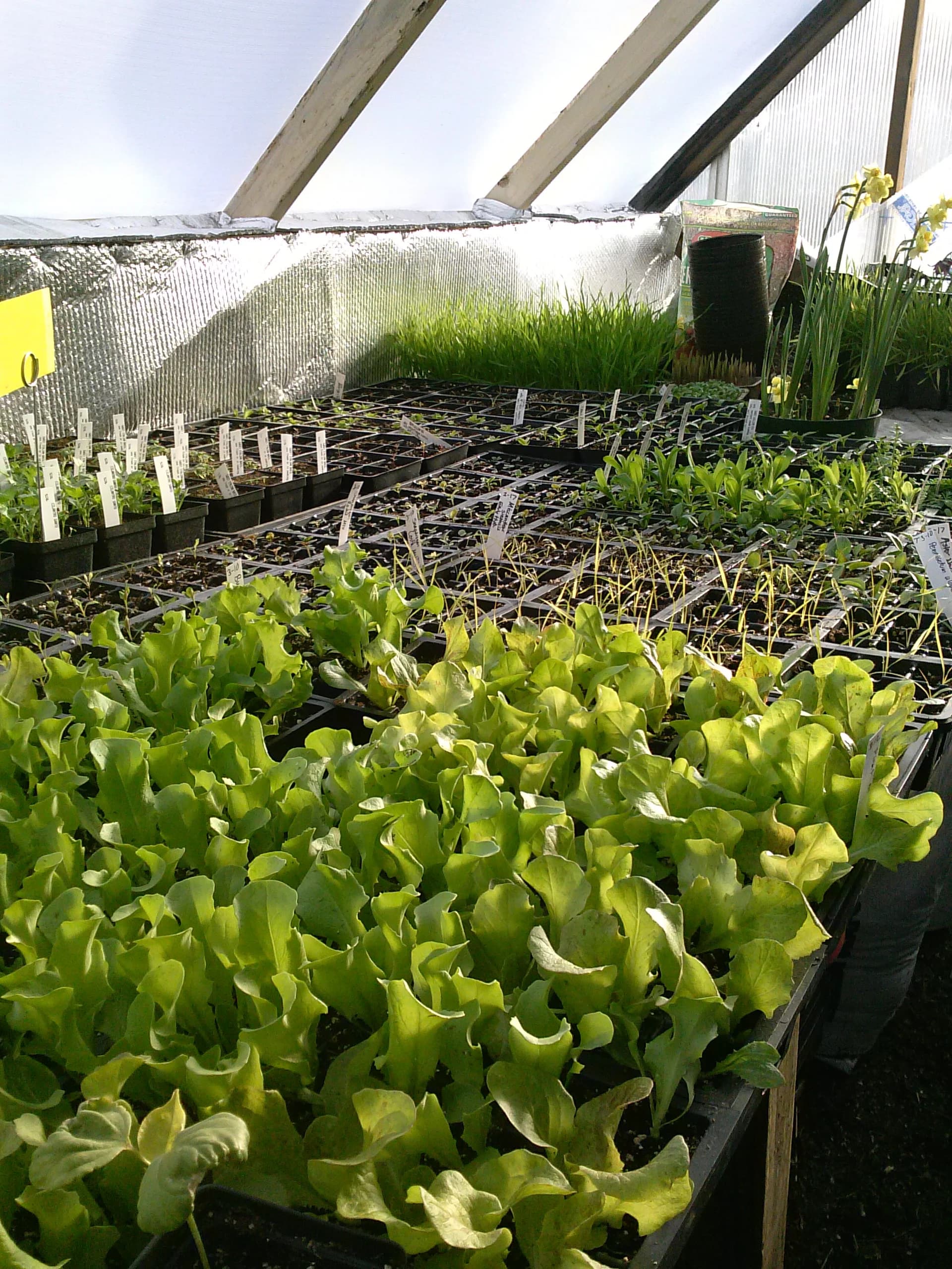 Cedar mill Farm
