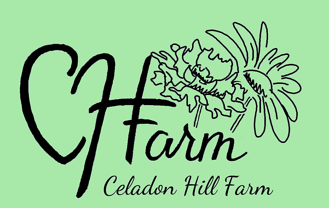 Celadon