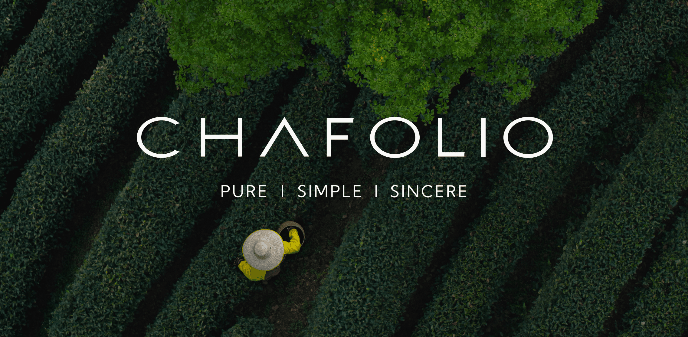 Chafolio photo 2