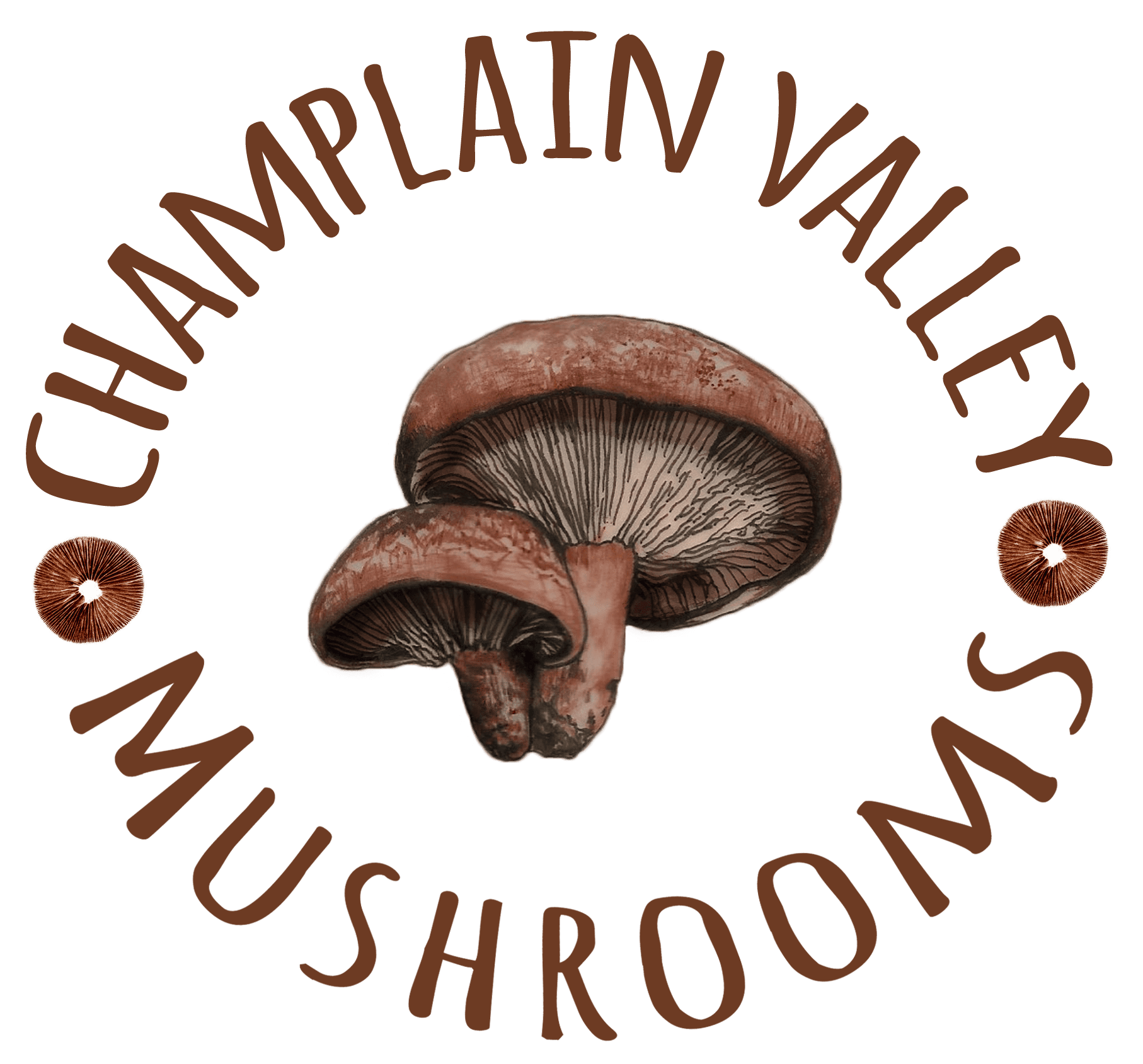 Champlain Valley Mushrooms