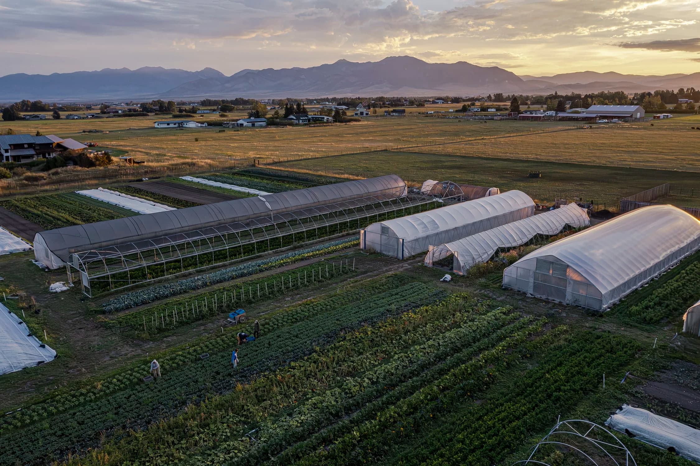 Chance Farm