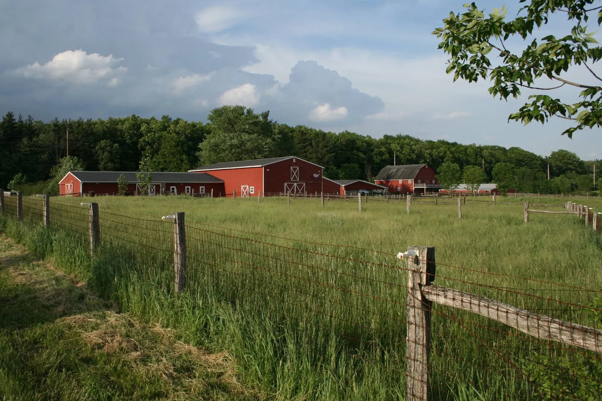 Chander Hill Farm