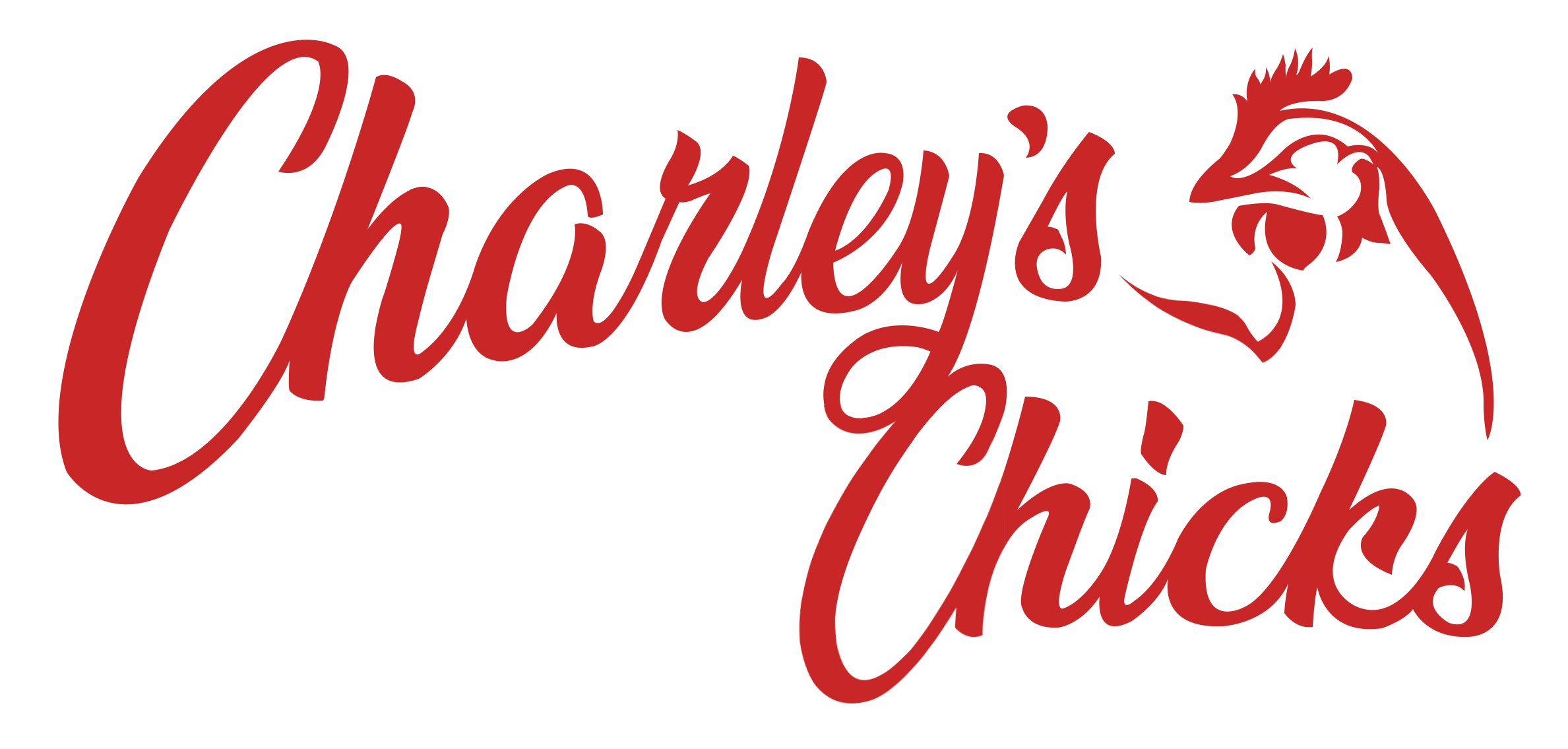 Charley's Chicks photo 2
