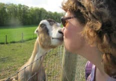 Charlottetown Farm photo 2