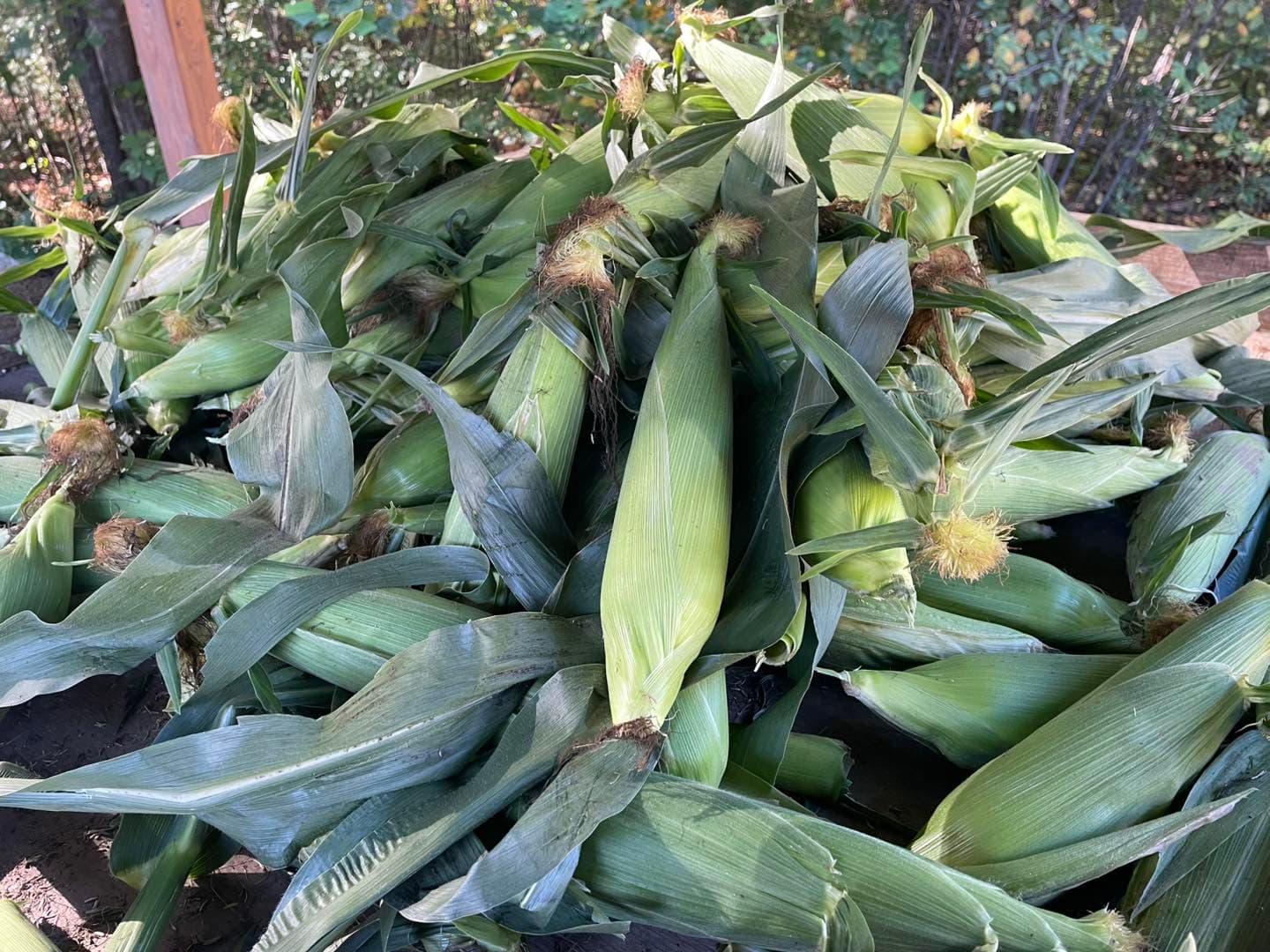 Chickadee Hill Farm
