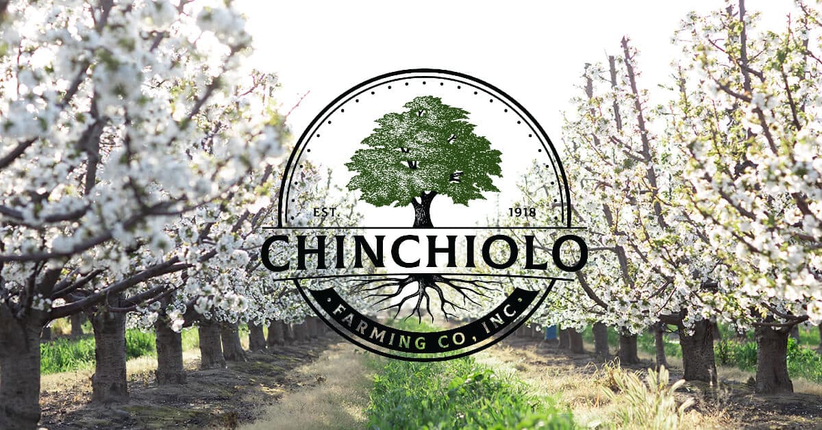 Chinchiolo