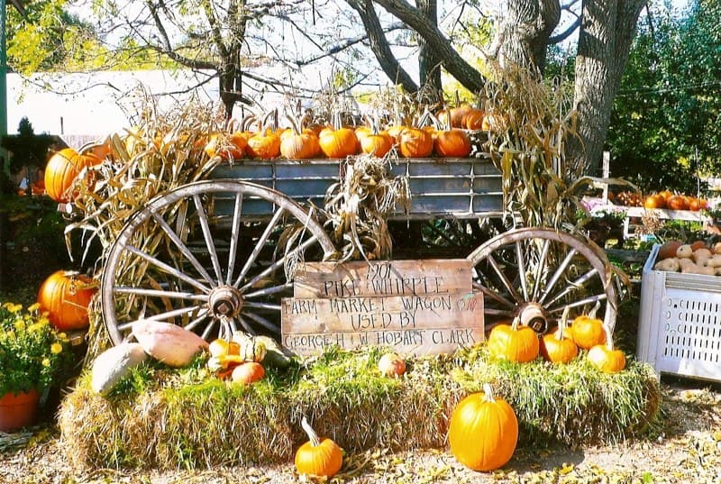 Clark Farm