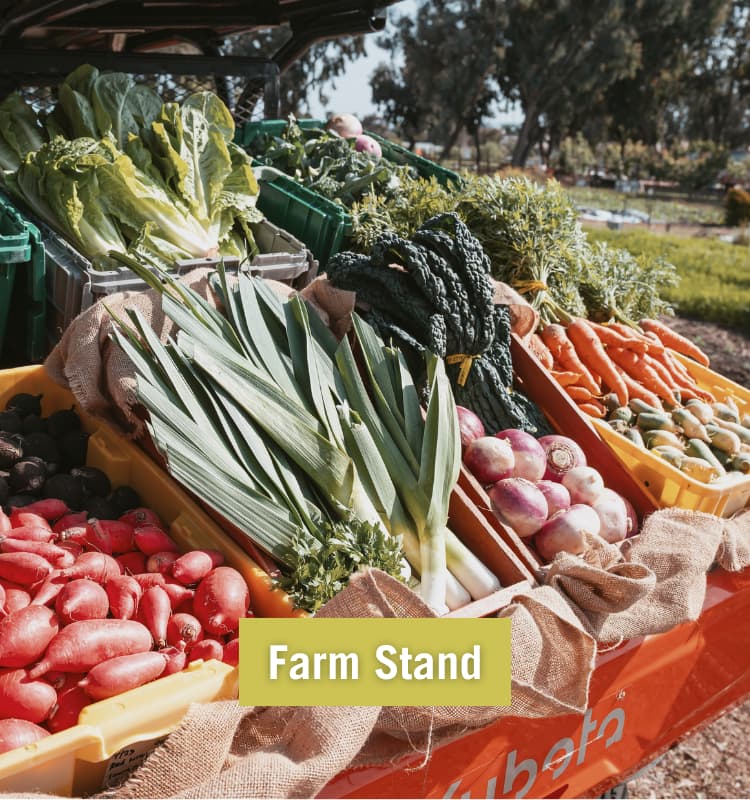 Coastal Roots Farm photo 2