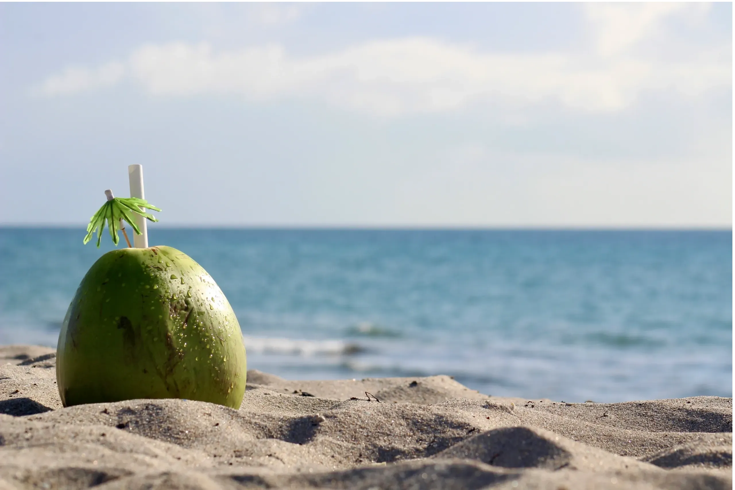 Coconut Bar, LLC