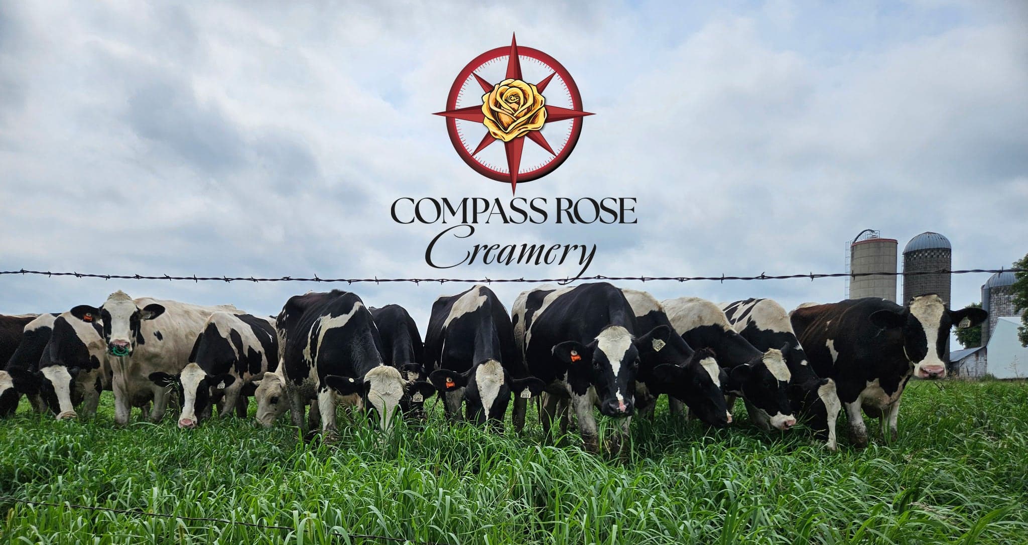 Compass Rose Creamery photo 2
