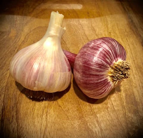 Conley Farms Inc.