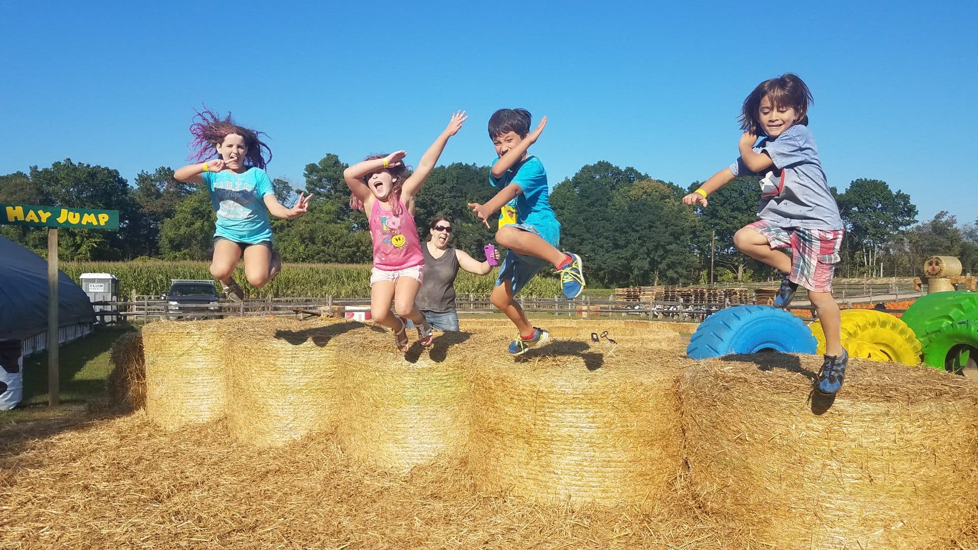 Connors Farm photo 2
