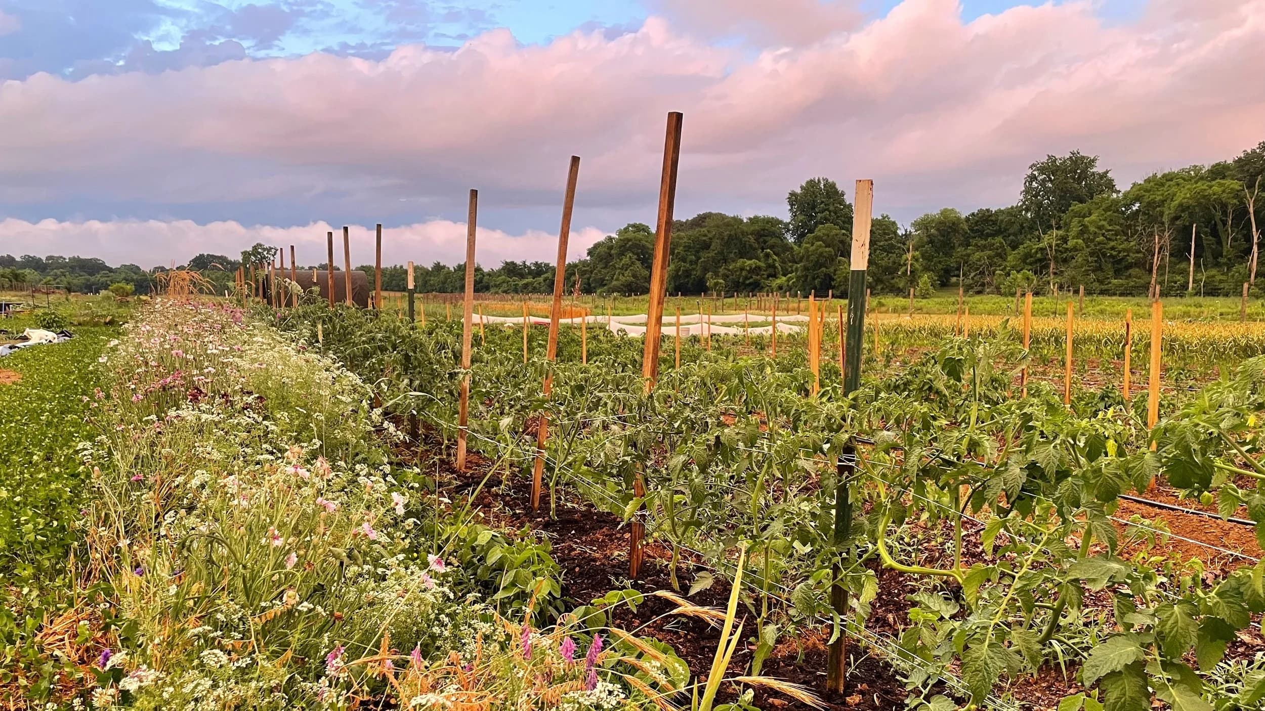 Cooper Creek Farms