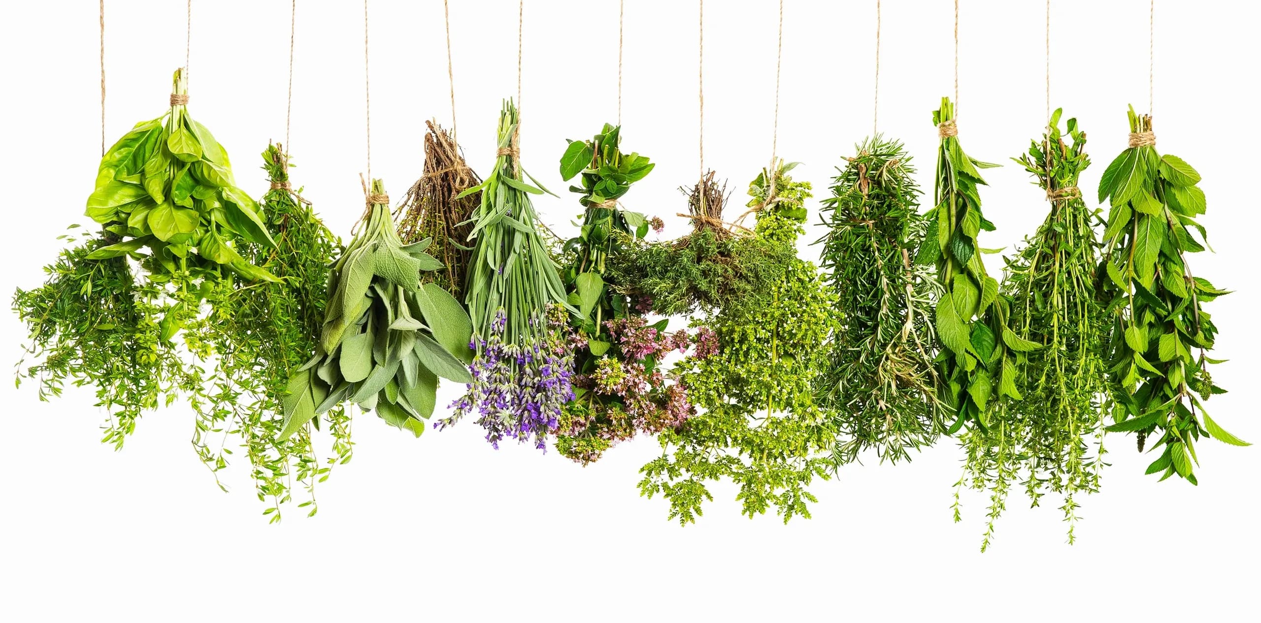 Cornerstone Crops