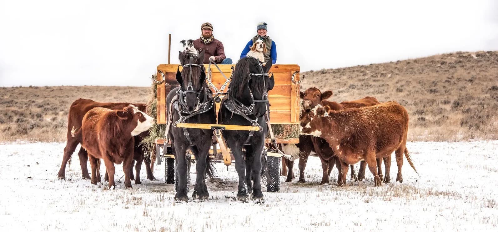 Coulee Creek Ranch photo 2
