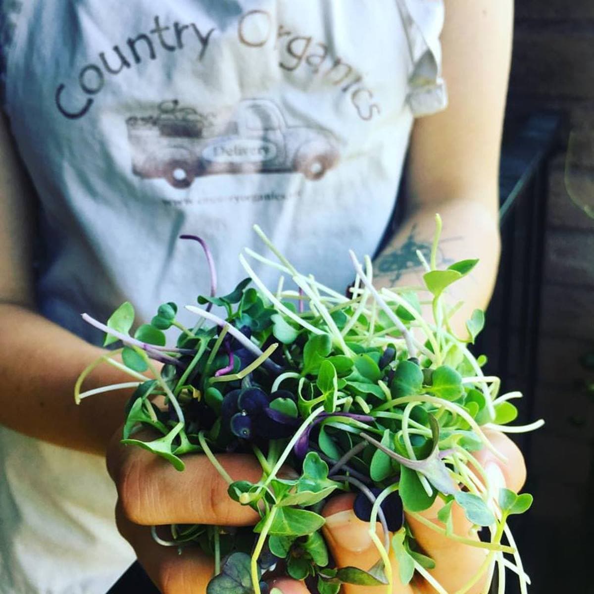 Country Organics