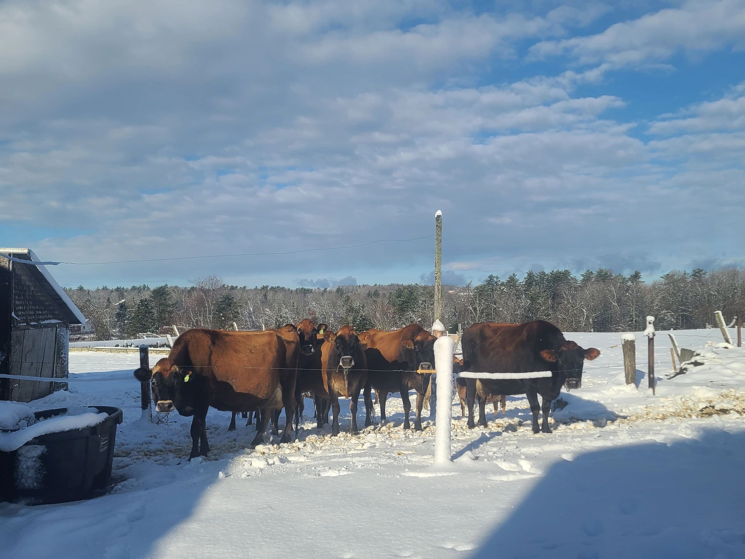CREAMY ACRES CREAMERY photo 2