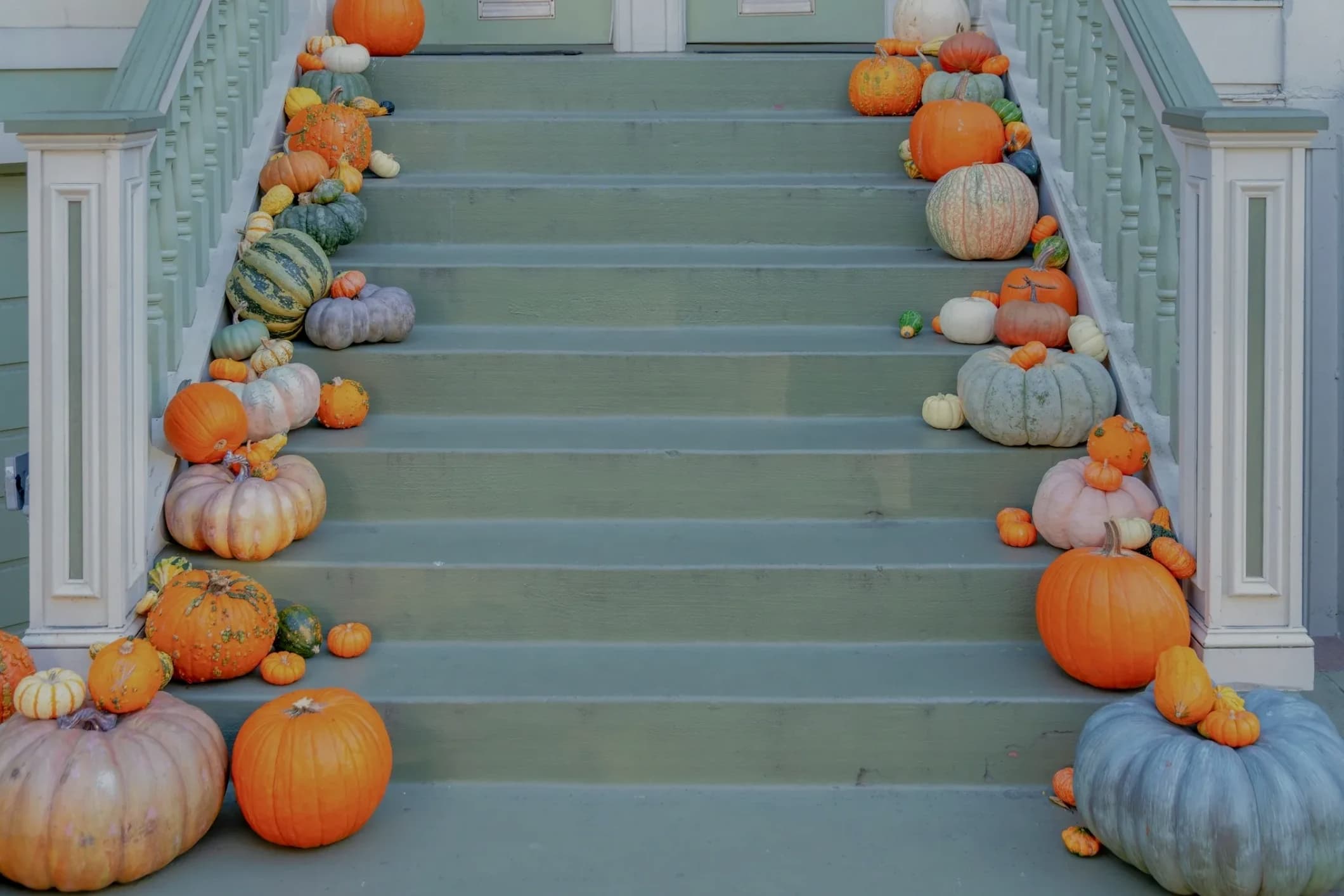Curated Harvest