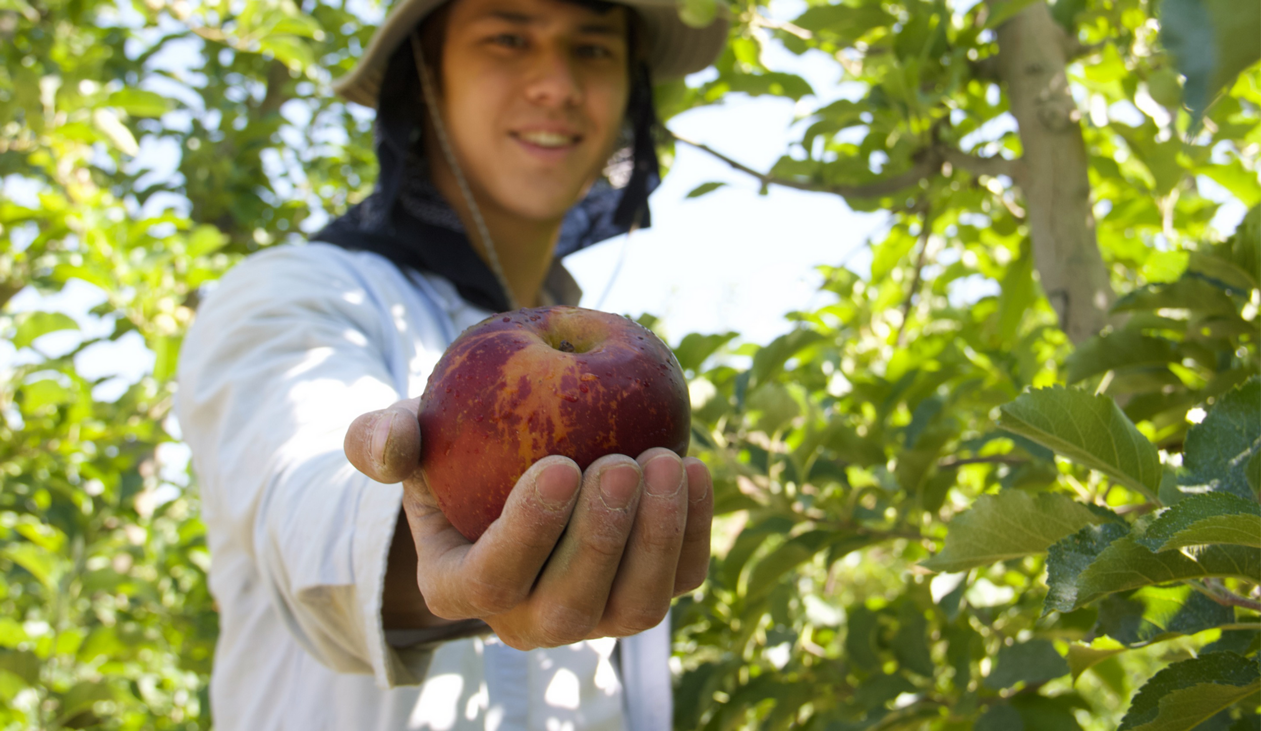 Cuyama Orchards photo 2