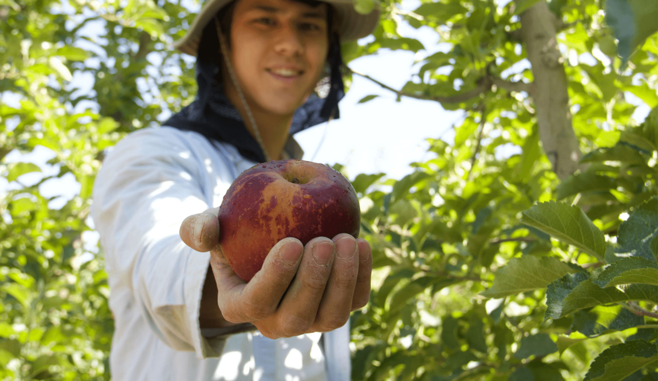 Cuyama Orchards photo 2