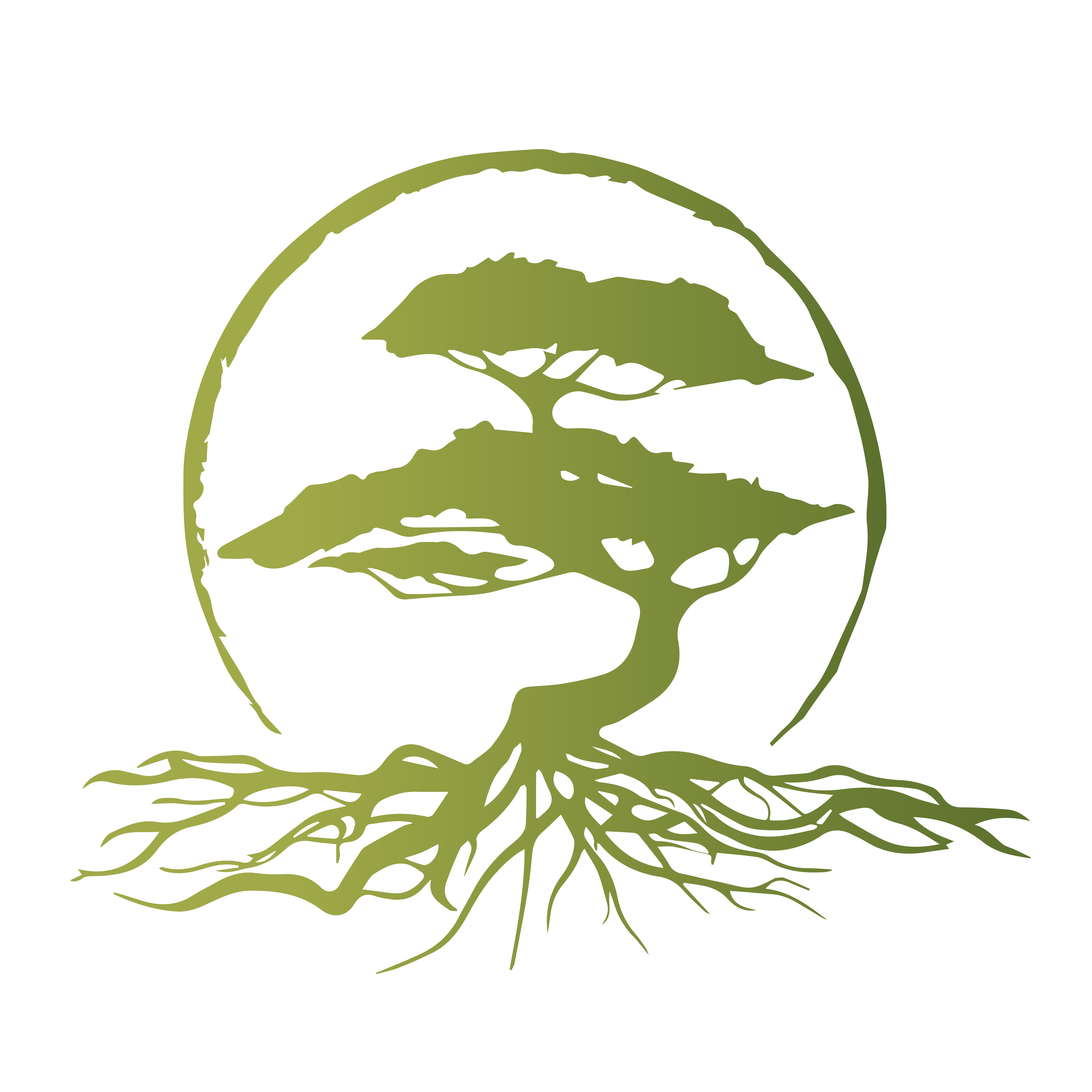 Cypress Roots photo 2