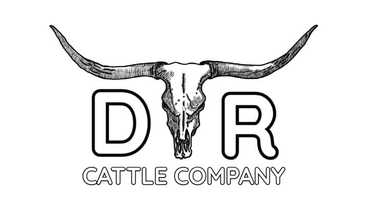 D-R Cattle Company photo 2