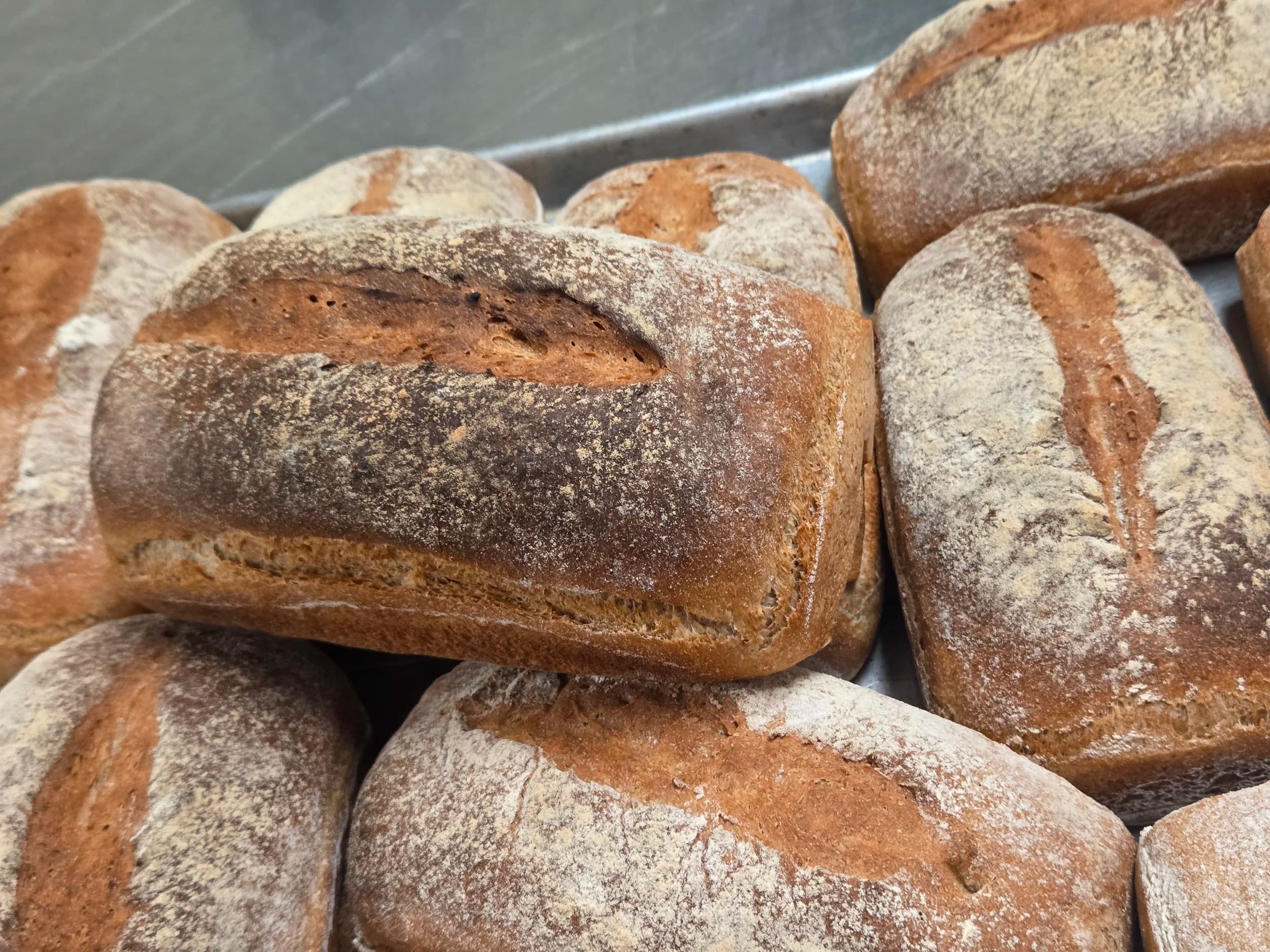 Day Bread Bakers
