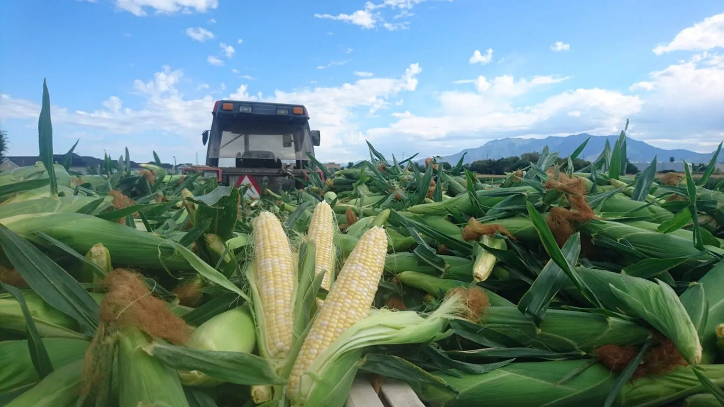 Day Farms photo 2