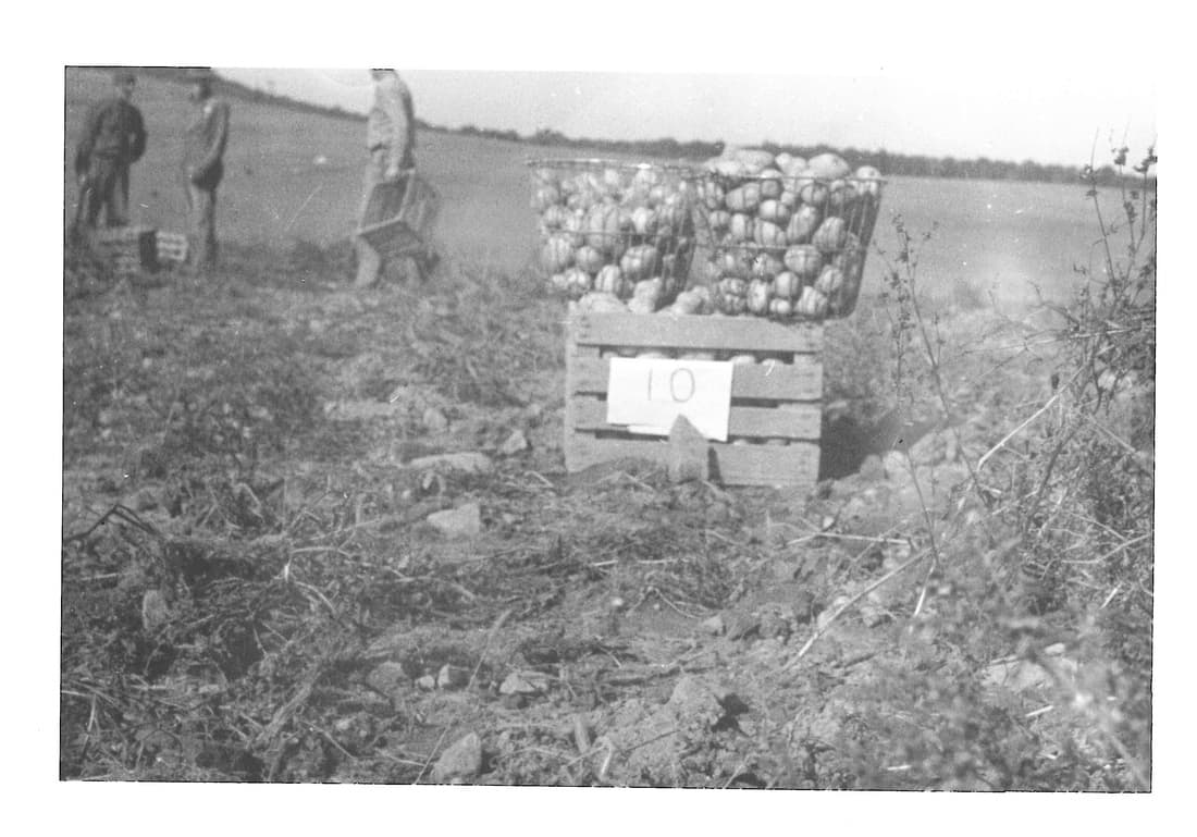 DeBerry Farm Fresh Produce