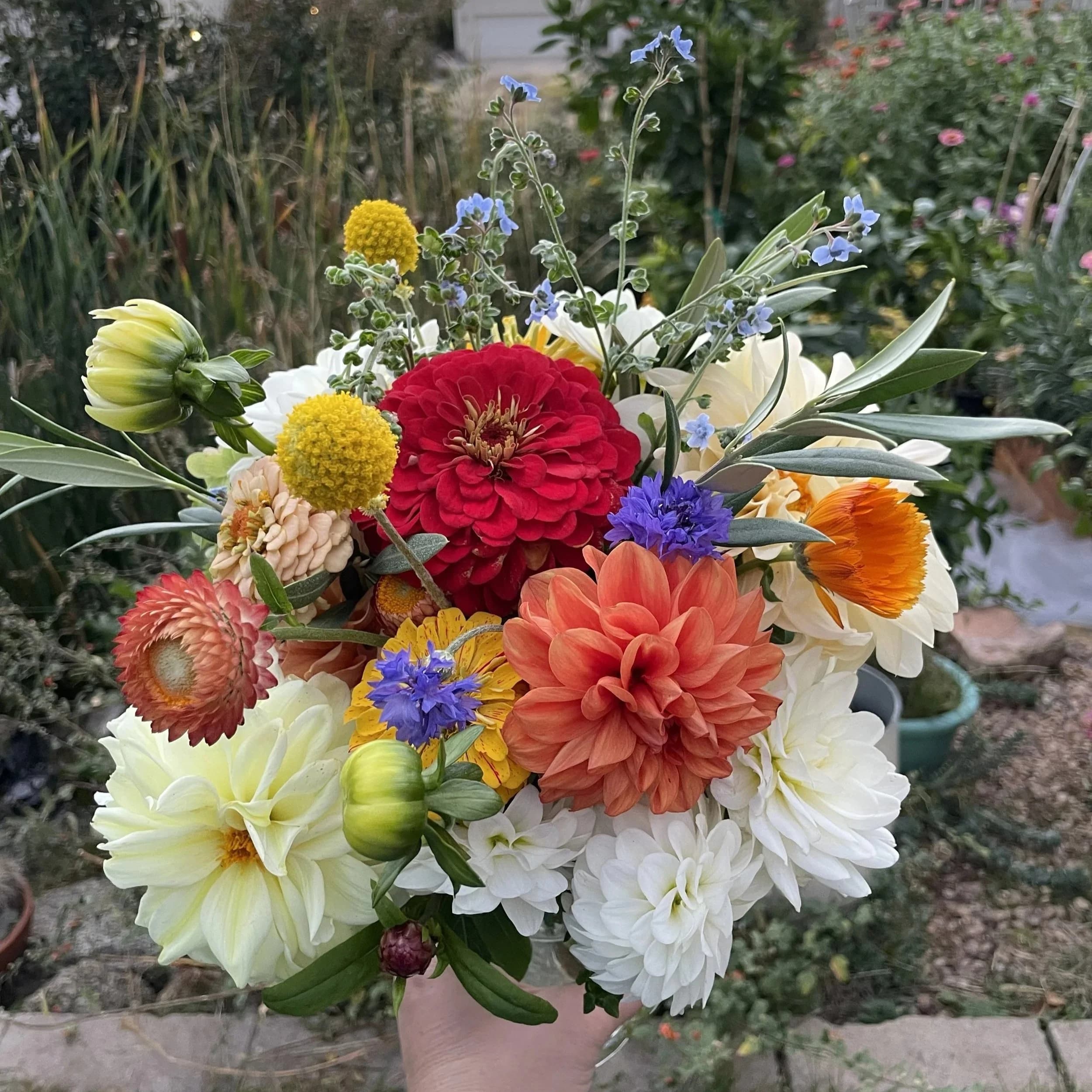 DeChant Botanicals