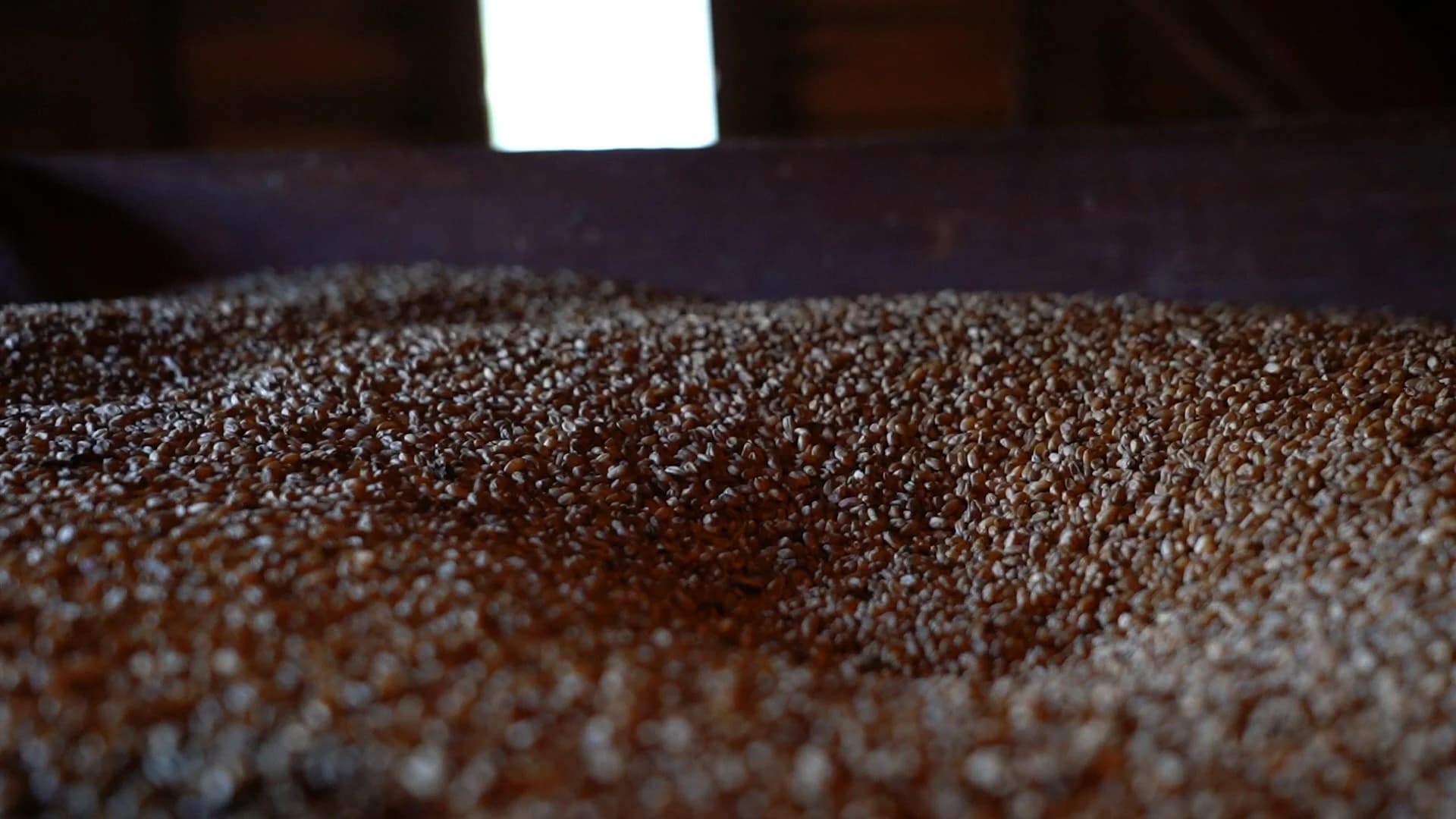 Deep Roots Milling at Woodson's Mill photo 2