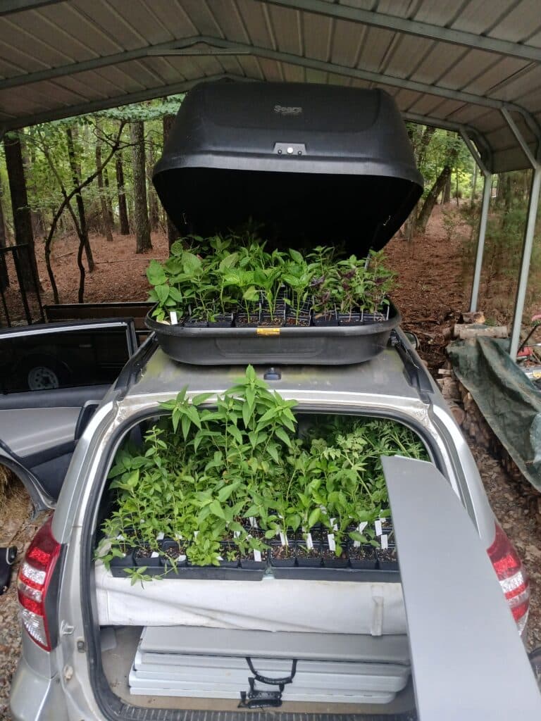 Deerhoof Gardens