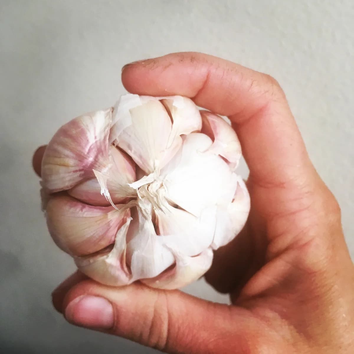 Deschutes Canyon Garlic