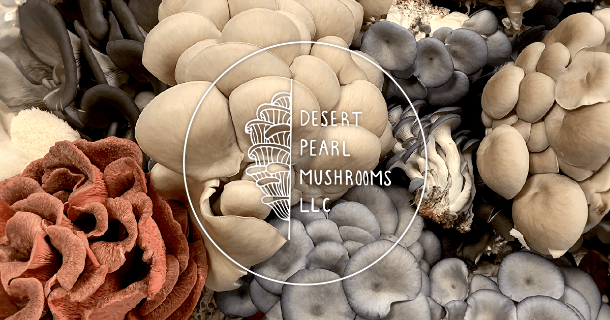 Desert Pearl Mushrooms photo 2