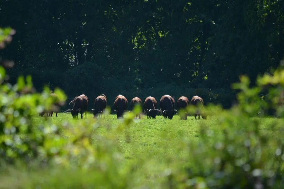 Devon Point Farm photo 2