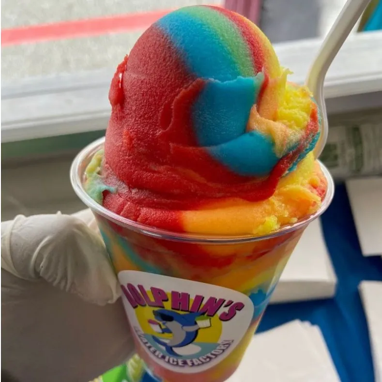 Dolphin Water Ice