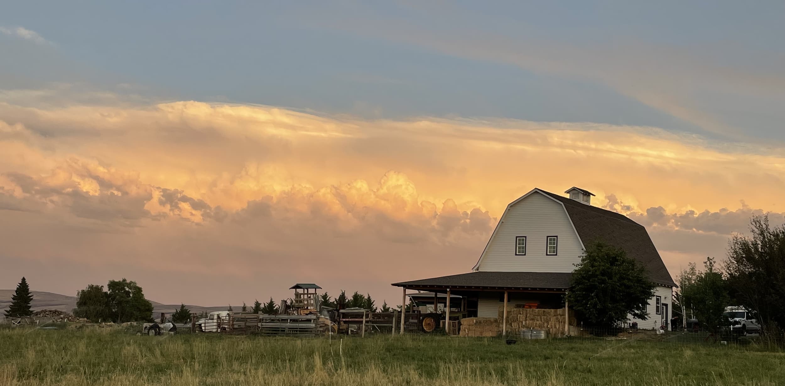Douglas Farms photo 2